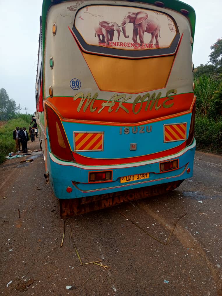 Elephant Injured, Passenger Feared Dead in Karuma Bus Accident