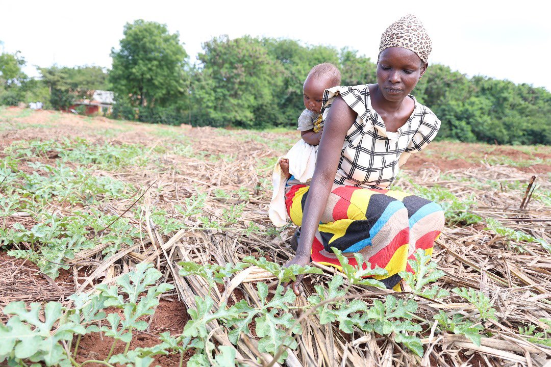 Hope for Busoga Youth as Agribusiness Project Unlocks Opportunities