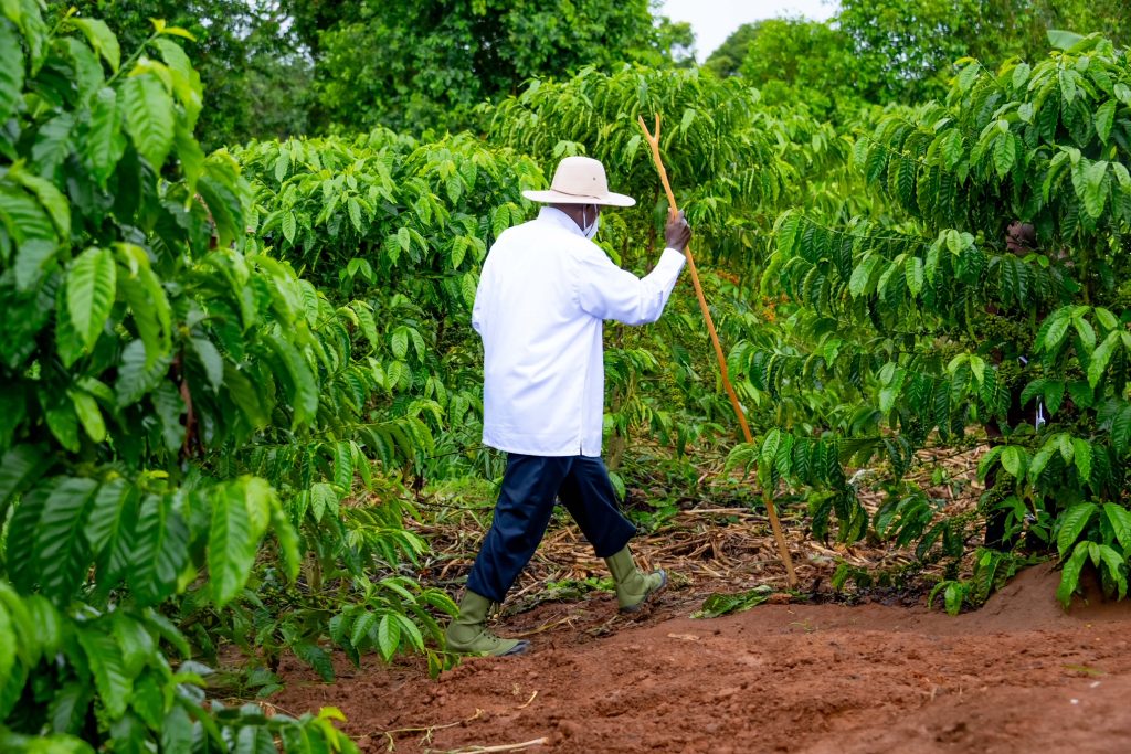 How Rev. Fr. Kiyimba is Preaching Prosperity Through Farming