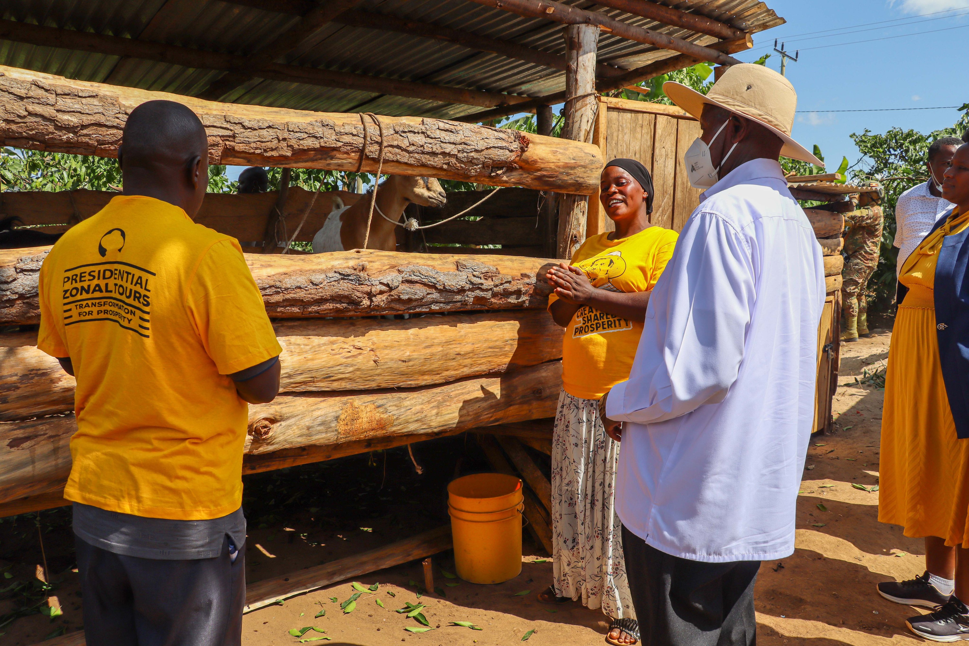 How Shs1 Million PDM Fund Turned Butambala Woman into Model Farmer