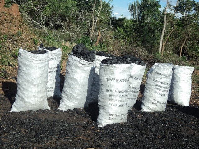 Increasing Charcoal Costs Push Kampala Residents to Opt for Sustainable Cooking Solutions