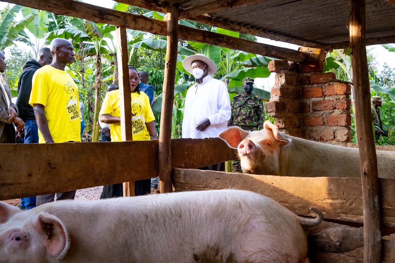 Museveni Applauds Farmer Who Turned UGX 500k PDM Cash Into Thriving Enterprise