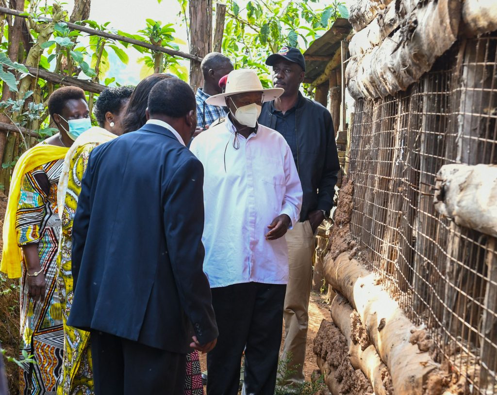 Museveni Calls for Egg Processing Factory to Boost Exports