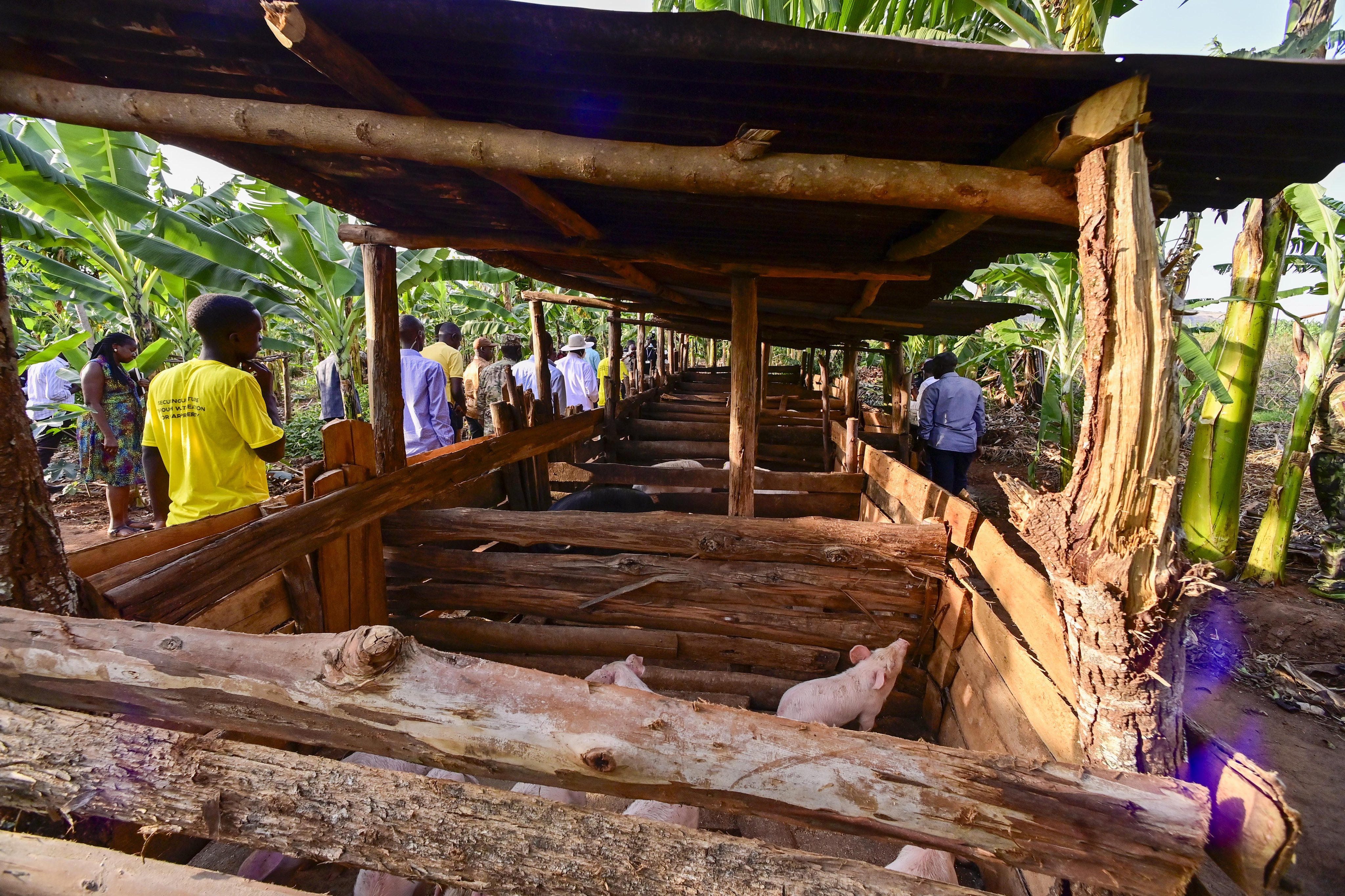 Museveni Defends Focus on Ugandans Outside Money Economy