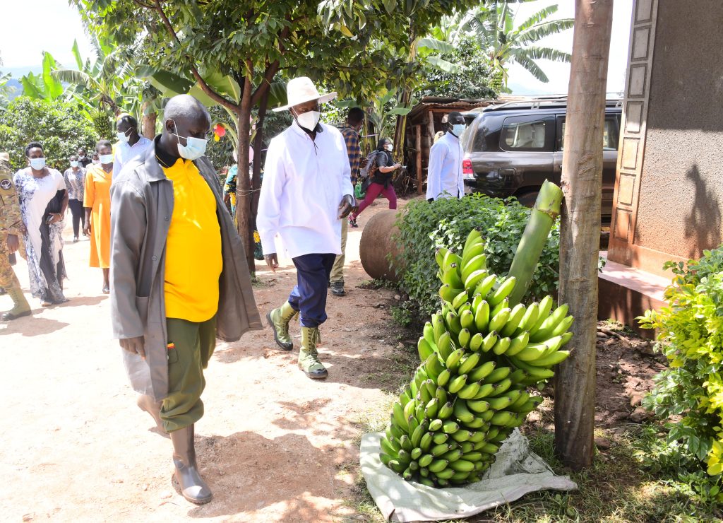 Museveni Lauds Sebei Farmers for Adopting Four-Acre Model