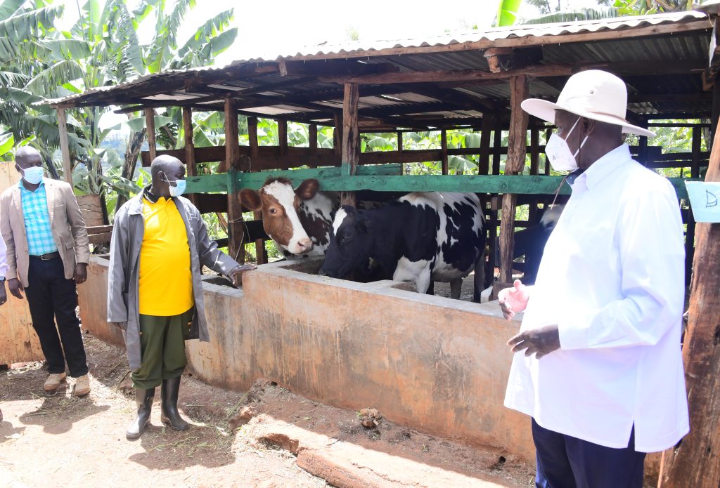 Museveni Lauds Sebei Farmers for Adopting Four-Acre Model