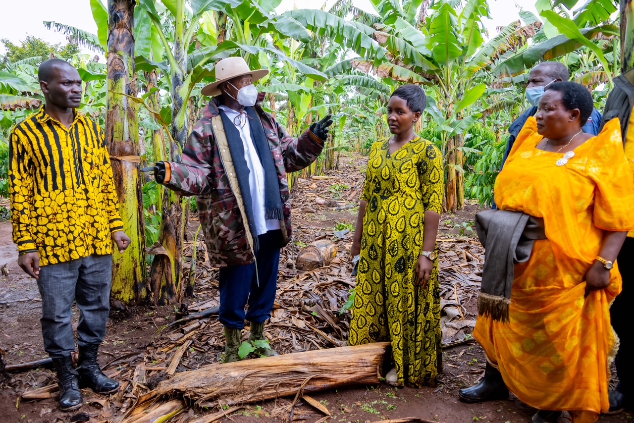Museveni Launches Four-Acre Farming Model in Greater Kibaale