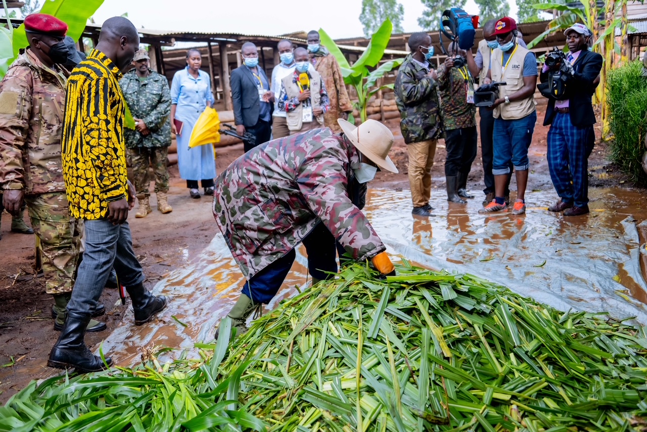 Museveni Launches Four-Acre Farming Model in Greater Kibaale