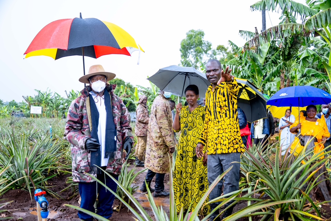 Museveni Launches Four-Acre Farming Model in Greater Kibaale