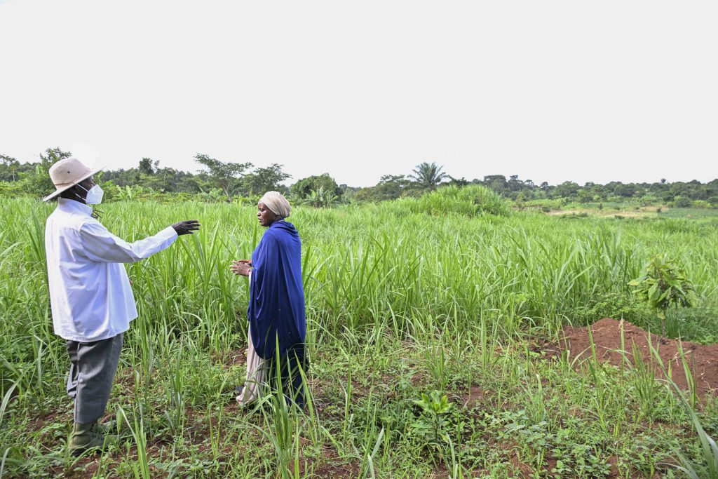 Museveni Launches PDM Tour in Greater Luwero, Demands Police Reforms