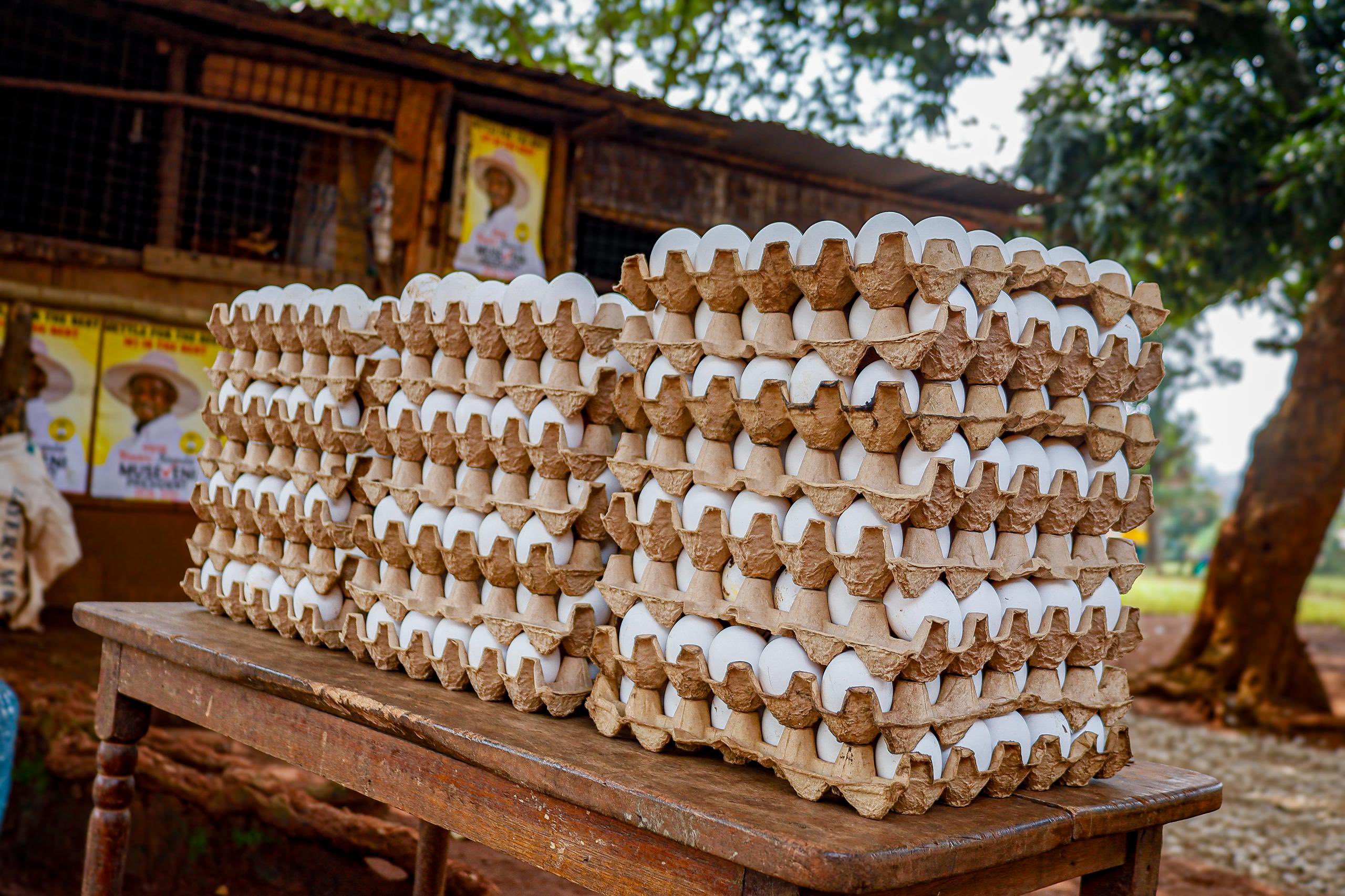 Museveni Orders Household Data Audit to Boost Kampala PDM Funding