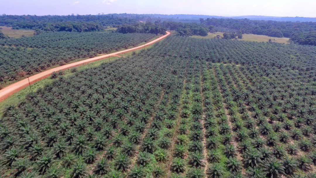 Museveni Pledges Night Ferry Services, Improved Safety for Ssese Residents