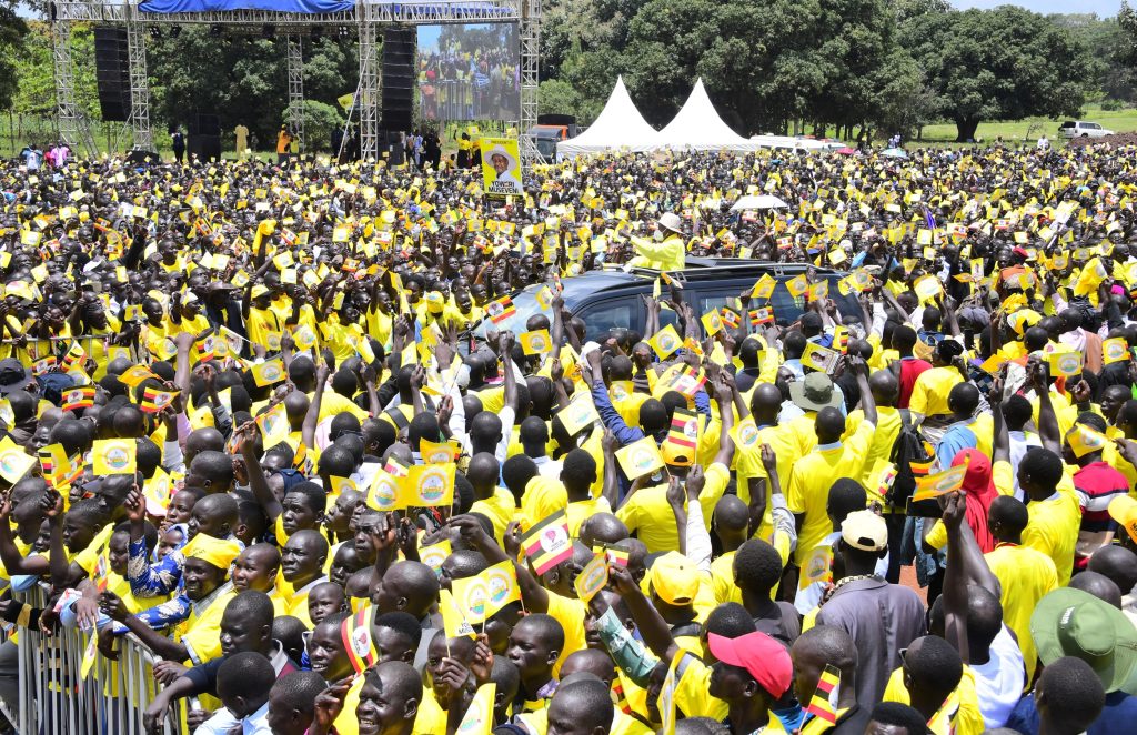 Museveni Promises Five Cows Per Home as Cattle Restocking Revives Northern Hope