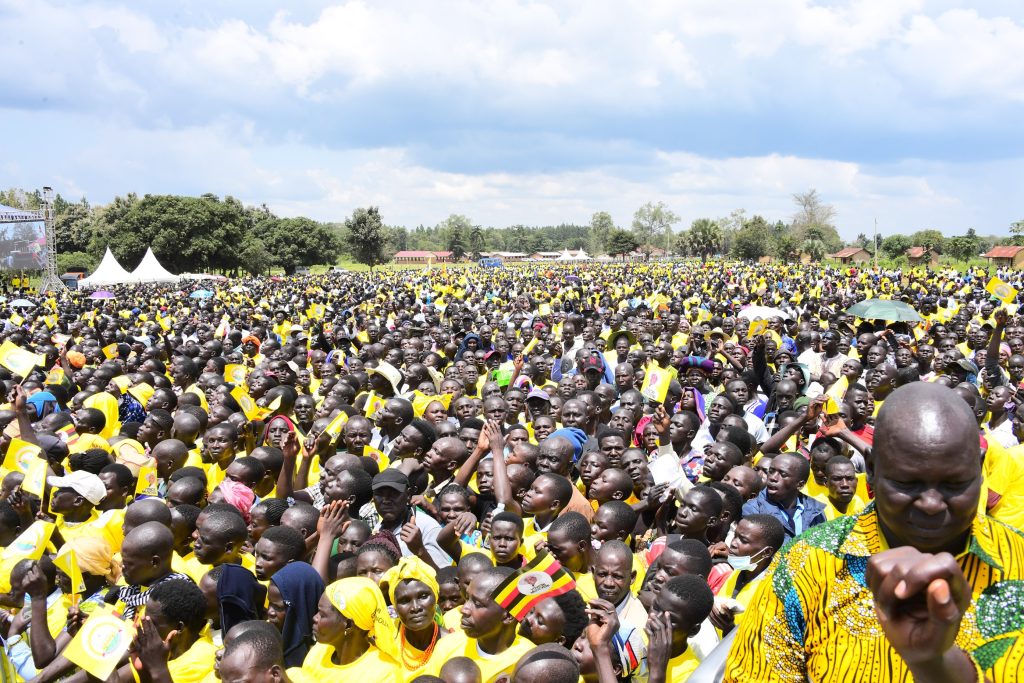 Museveni Promises Five Cows Per Home as Cattle Restocking Revives Northern Hope