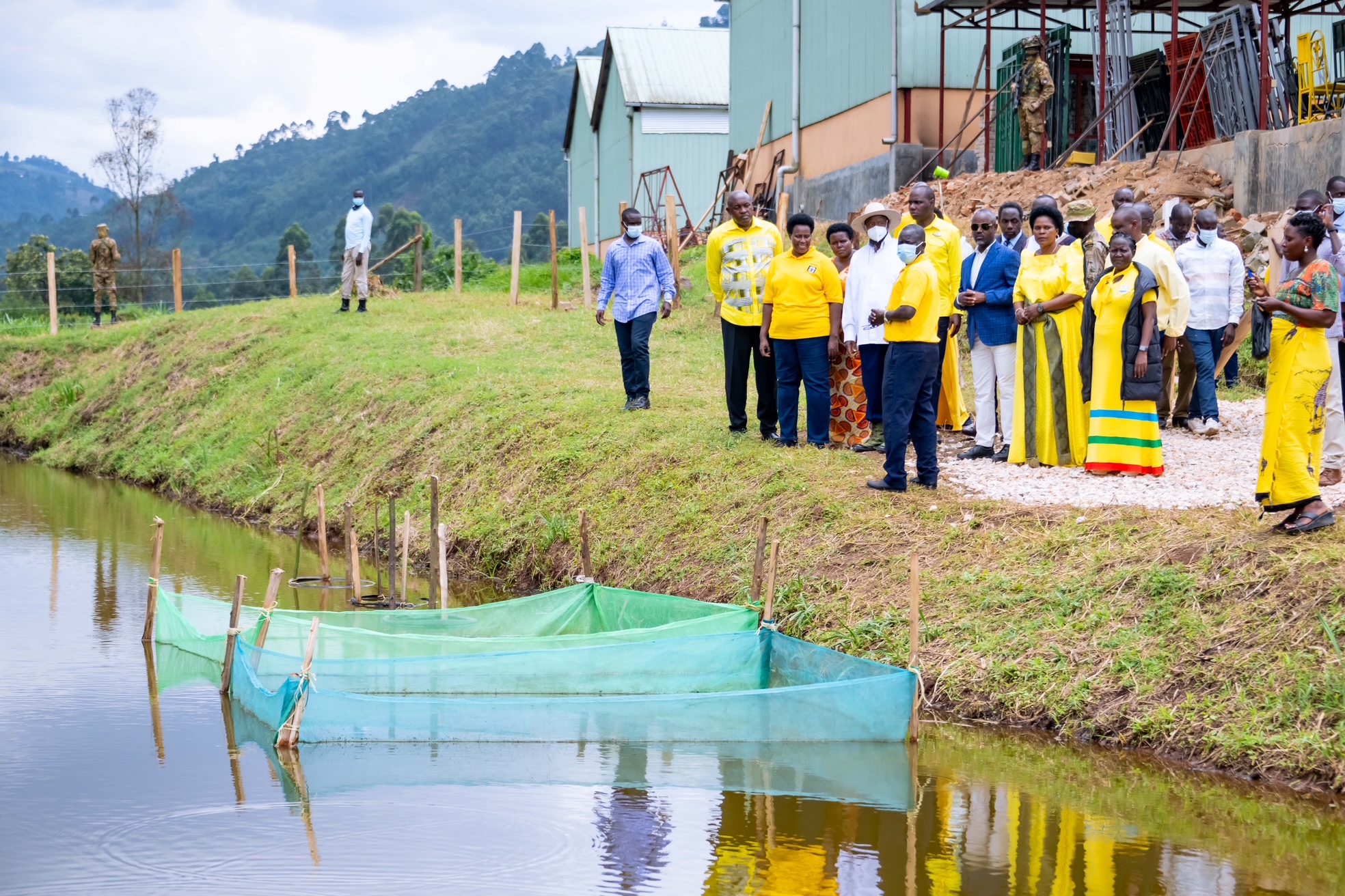 Museveni Warns Against Cattle Rearing in Wetlands, Promotes Fish Farming 