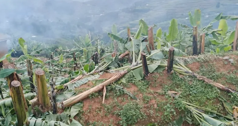 Parents Burn Teacher’s Home Over Alleged Demonic Attacks on Pupils